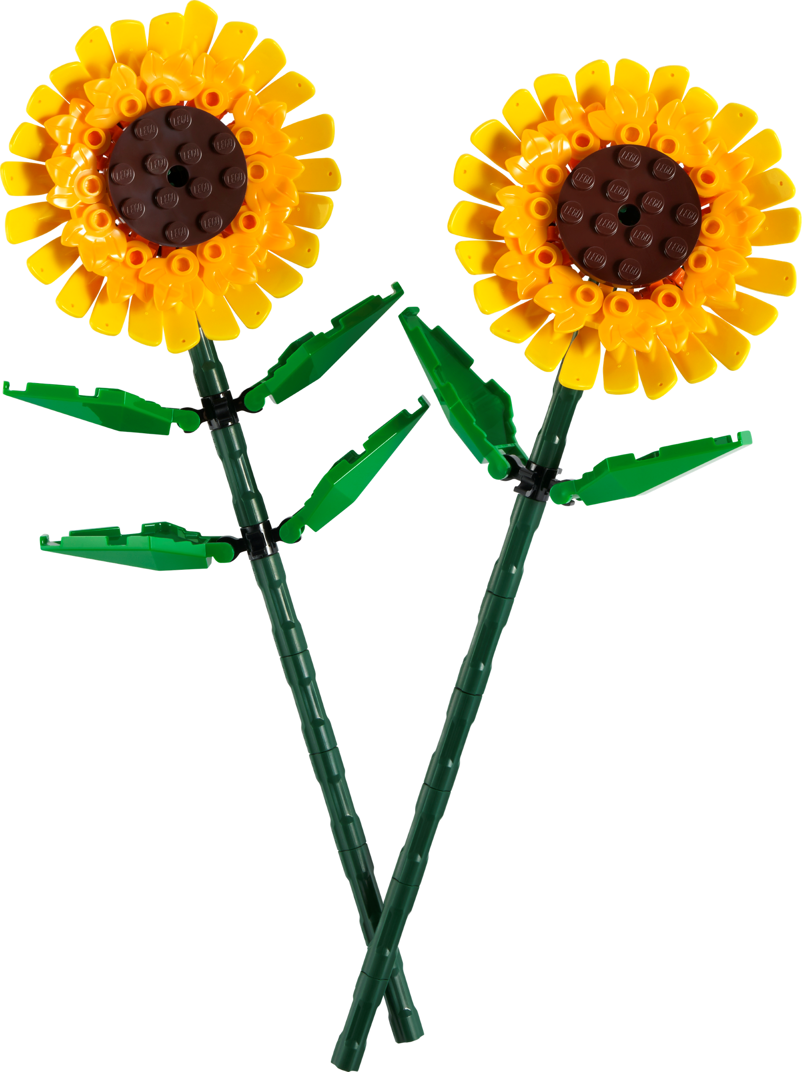 LEGO Botanical Sunflowers (40524) Review: Worth Chasing?