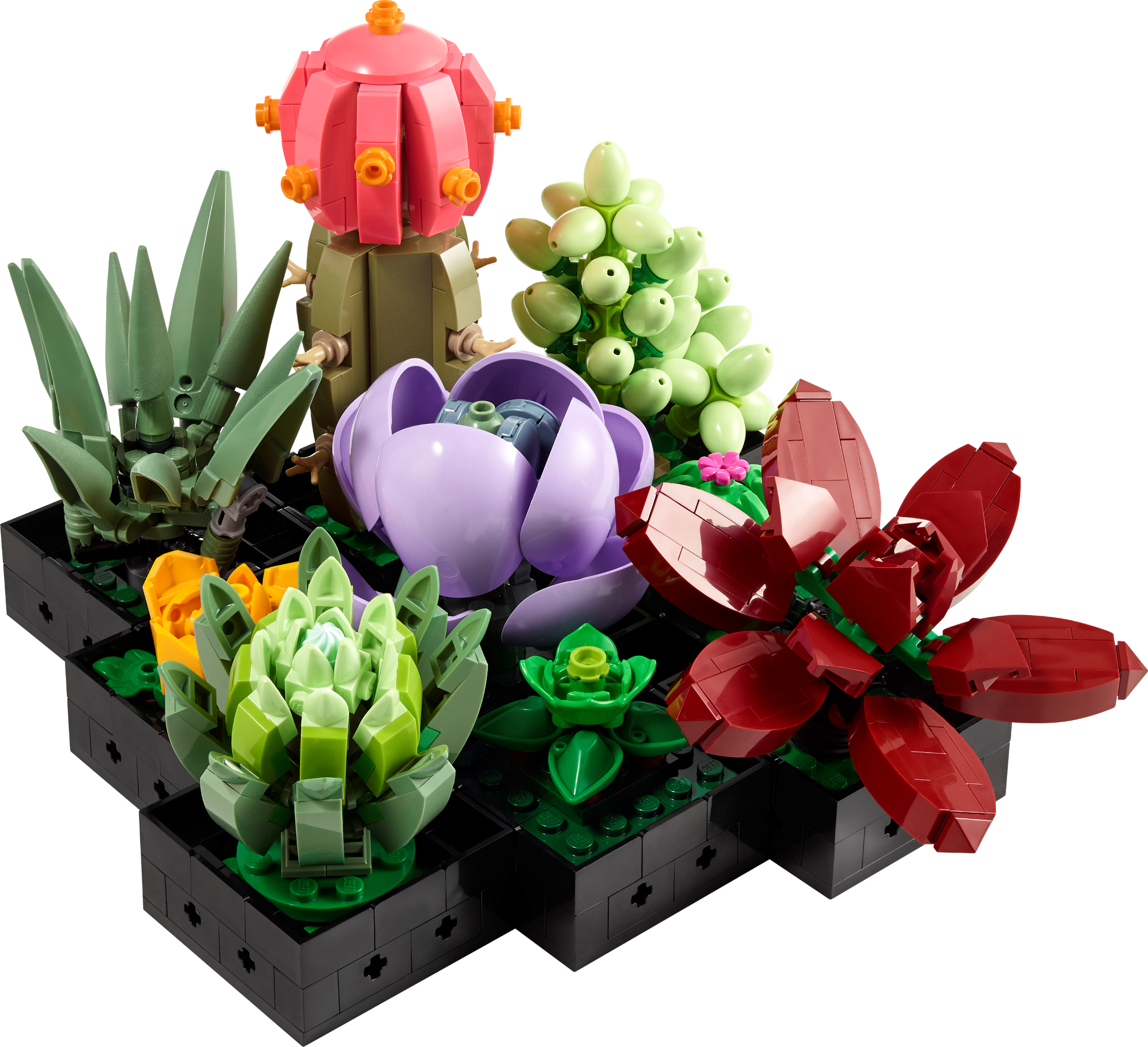 LEGO Succulents (10309) Review: The Best Botanical Collection Set?